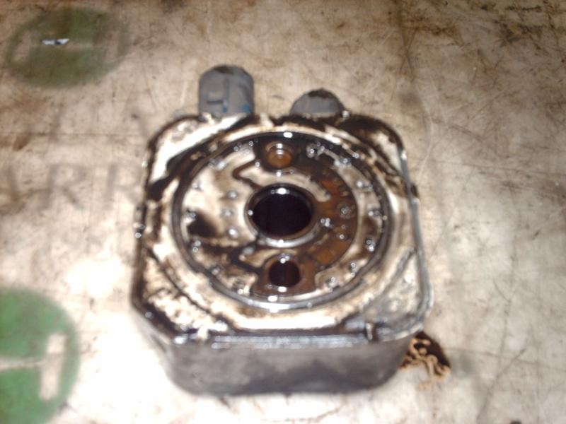 Recambio de enfriador aceite motor para seat toledo (1l) 1.9 diesel (1y) referencia OEM IAM   