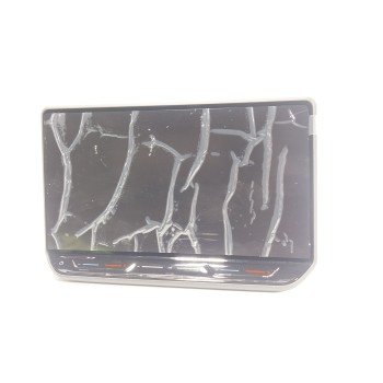 PANTALLA MULTIFUNCION 11H919605 11H919605 