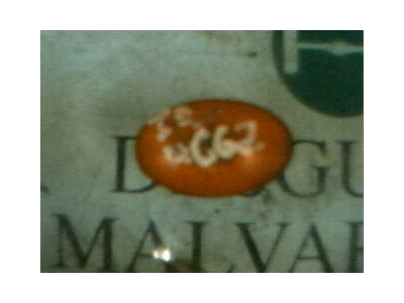 Recambio de piloto lateral izquierdo para ford mondeo berlina/familiar (fd) clx berlina referencia OEM IAM   