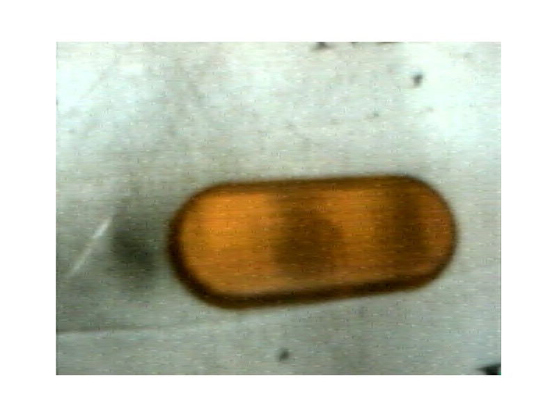 Recambio de piloto lateral izquierdo para seat ibiza (6k) 1.4 referencia OEM IAM   