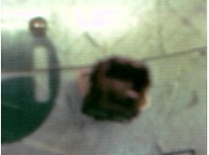 Recambio de warning para peugeot 607 (s1) básico referencia OEM IAM    2