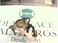 Recambio de maneta porton para opel astra f berlina gl referencia OEM IAM    2