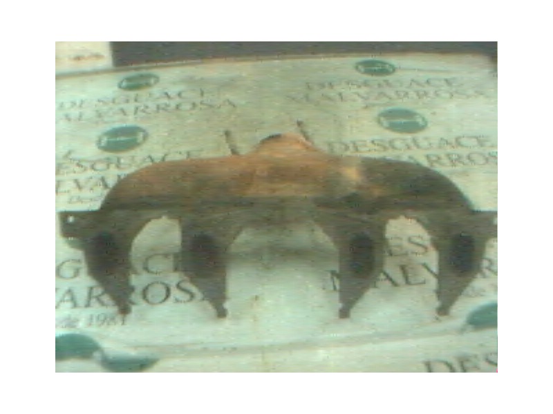 Recambio de colector escape para renault 19 (b/c/l53) referencia OEM IAM   