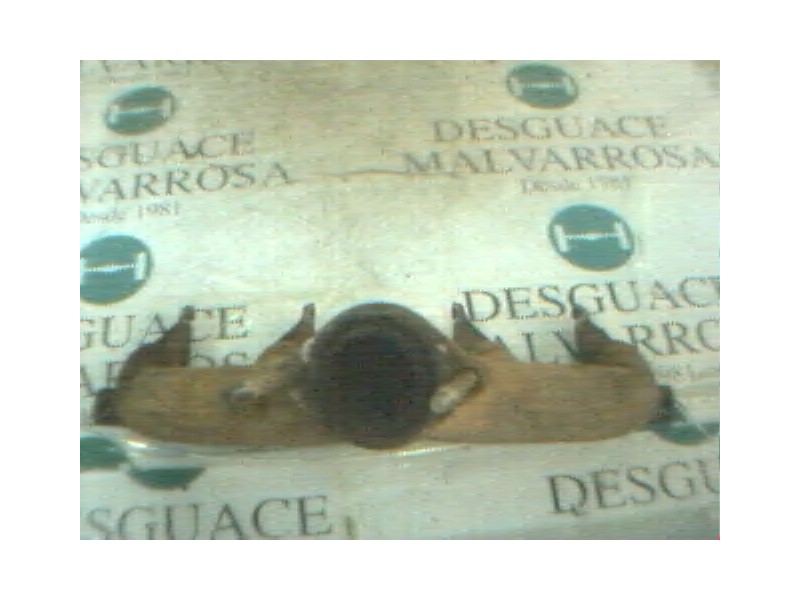 Recambio de colector escape para renault 19 (b/c/l53) referencia OEM IAM   