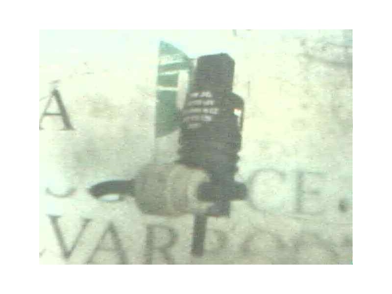 Recambio de bomba limpia para seat ibiza (6k1) 1.4 referencia OEM IAM   