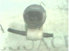 Recambio de bomba limpia para seat ibiza (6k1) 1.4 referencia OEM IAM    2