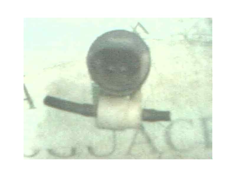 Recambio de bomba limpia para seat ibiza (6k1) 1.4 referencia OEM IAM   