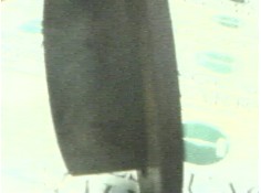 Recambio de disco freno trasero para audi 80/90 (893) 90 referencia OEM IAM    2