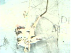 Recambio de cerradura puerta delantera izquierda para mitsubishi galloper (hyundai) 2.5 td (3-ptas.) referencia OEM IAM    2