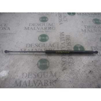 AMORTIGUADORES MALETERO / PORTON 