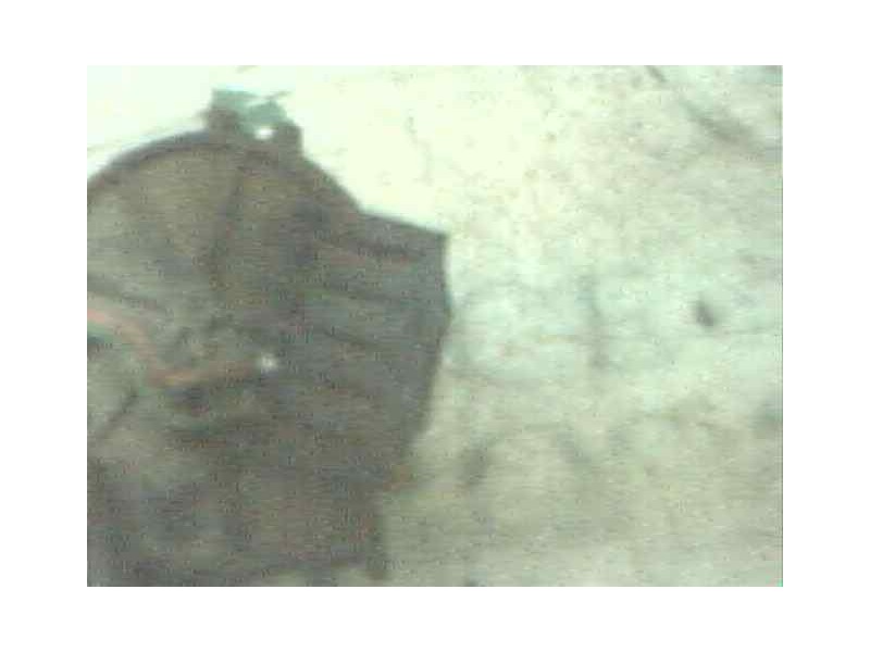 Recambio de motor limpia delantero para audi 80/90 (893) referencia OEM IAM   