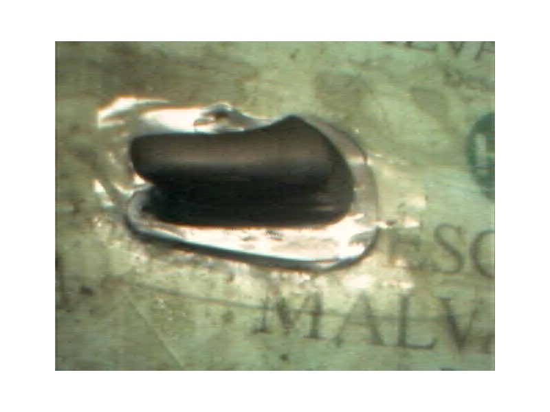 Recambio de maneta interior delantera derecha para opel corsa b swing referencia OEM IAM   