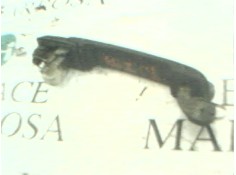 Recambio de maneta exterior trasera izquierda para volkswagen golf iii berlina (1h1) 1.8 referencia OEM IAM    2