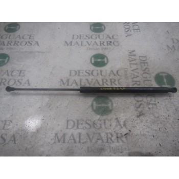 AMORTIGUADORES MALETERO / PORTON 