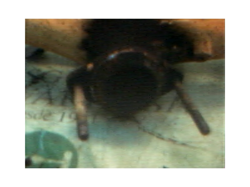 Recambio de colector escape para renault rapid/express (f40) 1.6 diesel referencia OEM IAM   