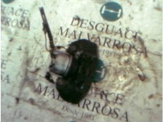 Recambio de pinza freno delantera izquierda para peugeot 205 berlina 1.4 referencia OEM IAM   