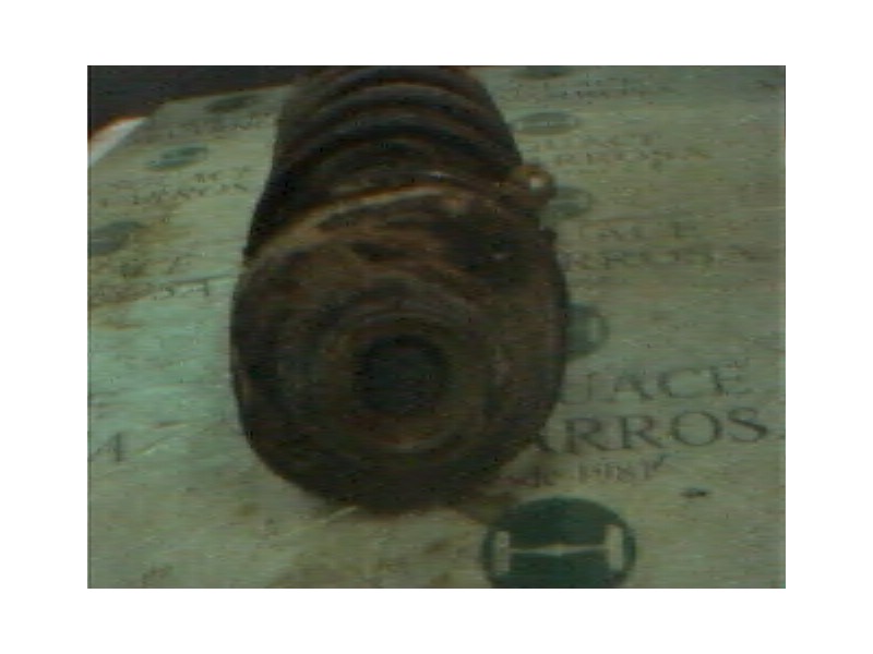 Recambio de amortiguador delantero izquierdo para renault 19 (b/c/l53) referencia OEM IAM   