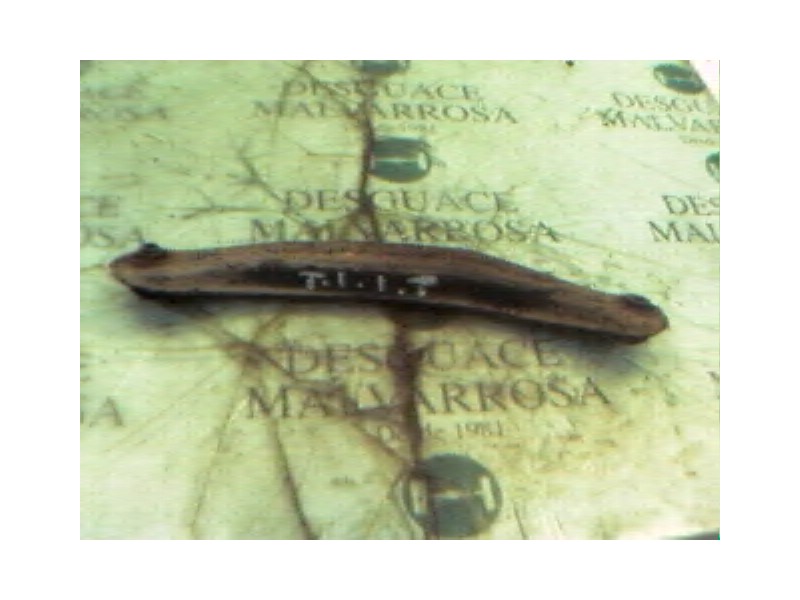 Recambio de brazo suspension inferior trasero izquierdo para mg serie 600 (rh) 620 sdi referencia OEM IAM   