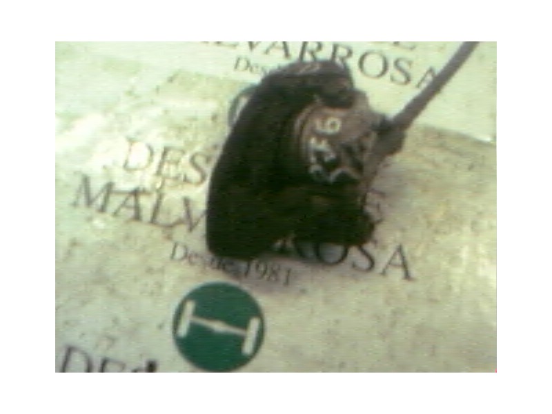 Recambio de pinza freno delantera derecha para citroën saxo 1.4 referencia OEM IAM   