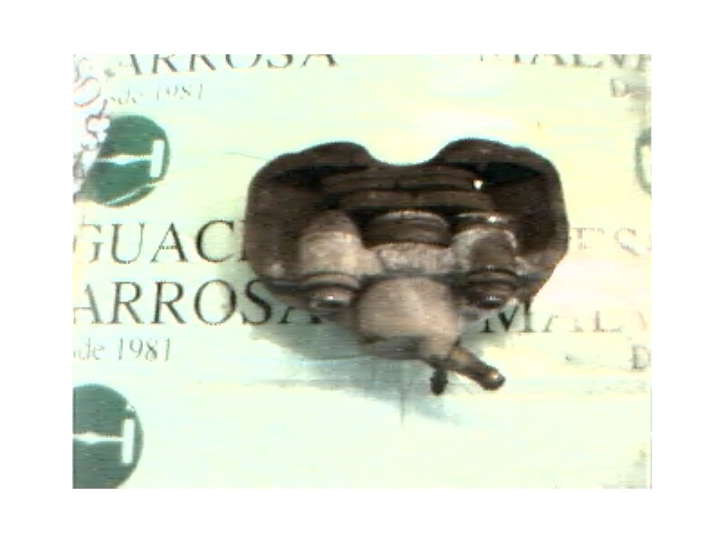 Recambio de pinza freno delantera izquierda para renault 19 hatchback (b/c53) 1.9 diesel referencia OEM IAM   