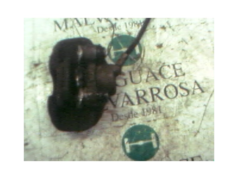 Recambio de pinza freno delantera izquierda para renault 5 (b/c40) 1.4 referencia OEM IAM   