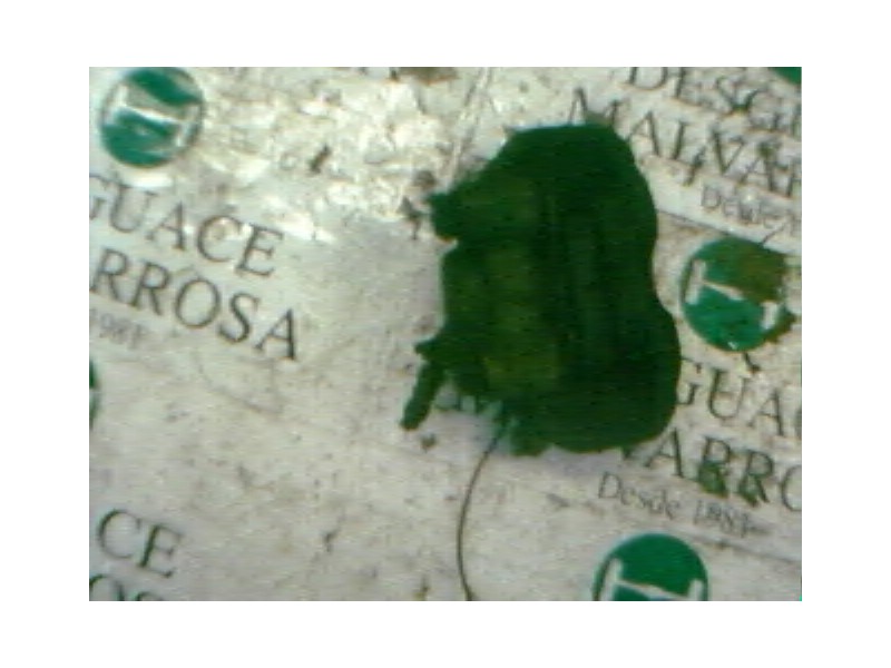 Recambio de pinza freno delantera izquierda para renault rapid/express (f40) 1.6 diesel referencia OEM IAM   