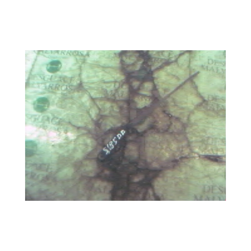 Recambio de brazo limpia delantero derecho para alfa romeo 156 (116) 2.0 t.spark distinctive referencia OEM IAM   