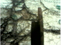 Recambio de disco freno delantero para fiat brava (182) 1.9 turbodiesel referencia OEM IAM    2