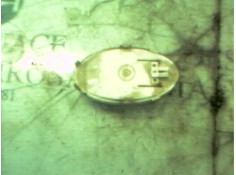 Recambio de piloto interior para smart coupe pure referencia OEM IAM Q0000709V003000000   2