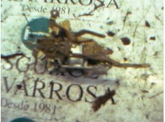 Recambio de cerradura puerta trasera izquierda para mercedes-benz clase e (w210) berlina diesel 220 cdi (210.006) referencia OEM 2