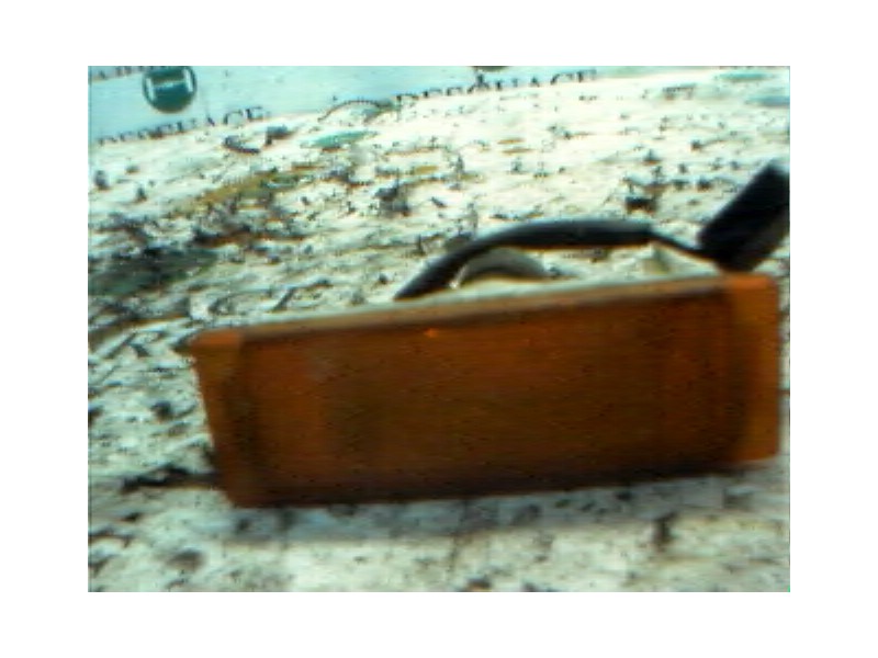 Recambio de piloto delantero izquierdo para renault rapid/express (f40) 1.6 diesel referencia OEM IAM   