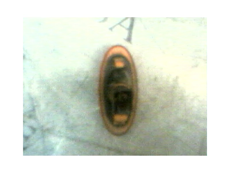 Recambio de piloto lateral izquierdo para fiat punto berl. (176) 1.7 turbodiesel referencia OEM IAM   