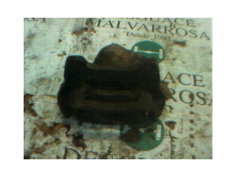 Recambio de pinza freno delantera izquierda para fiat punto berl. (176) 1.7 turbodiesel referencia OEM IAM   