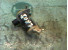 Recambio de bomba limpia para ford scorpio 2.0 (ohc) referencia OEM IAM   