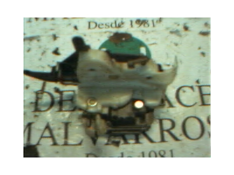 Recambio de cerradura puerta trasera izquierda para nissan almera (n16/e) comfort referencia OEM IAM   