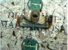 Recambio de piloto delantero izquierdo para renault rapid/express (f40) 1.4 referencia OEM IAM    2