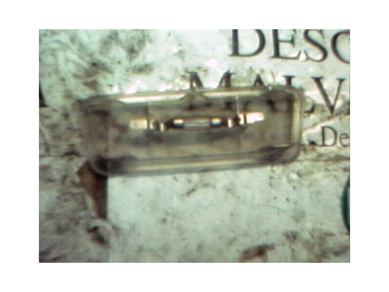 Recambio de piloto interior para opel corsa b swing referencia OEM IAM   