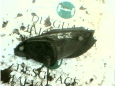 Recambio de faro antiniebla izquierdo para chrysler 300 m (lr) 2.7 v6 referencia OEM IAM 4574827   2