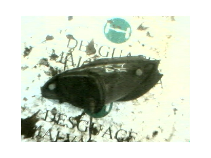 Recambio de faro antiniebla izquierdo para chrysler 300 m (lr) 2.7 v6 referencia OEM IAM 4574827  