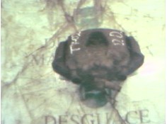 Recambio de pinza freno delantera derecha para opel astra f berlina 1.4 cat (l48) referencia OEM IAM    2