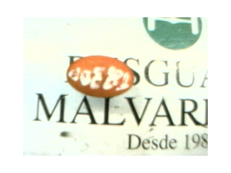 Recambio de piloto lateral derecho para ford mondeo berlina/familiar (fd) clx berlina referencia OEM IAM   