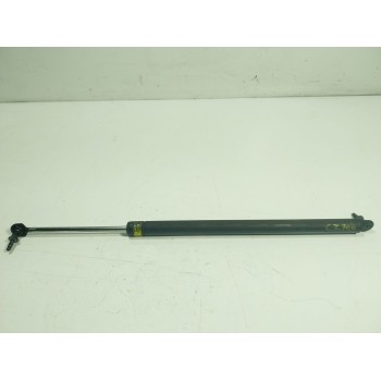 AMORTIGUADORES MALETERO / PORTON 