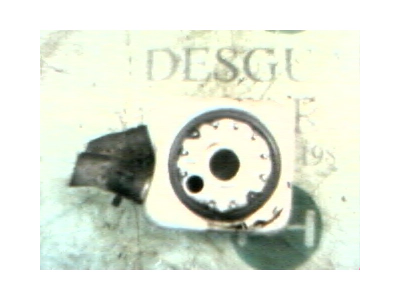 Recambio de enfriador aceite motor para seat ibiza (6k) 1.9 diesel (1y) referencia OEM IAM   