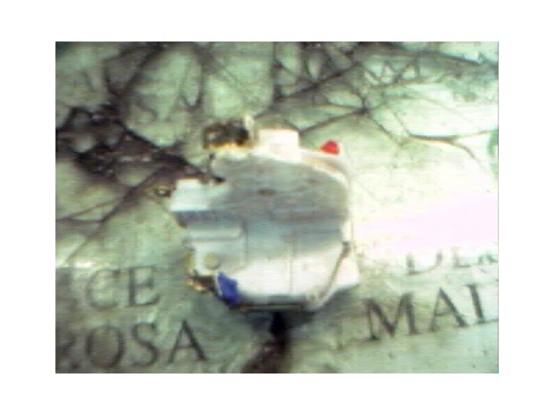 Recambio de cerradura puerta trasera izquierda para nissan primera berlina (p11) gx referencia OEM IAM   