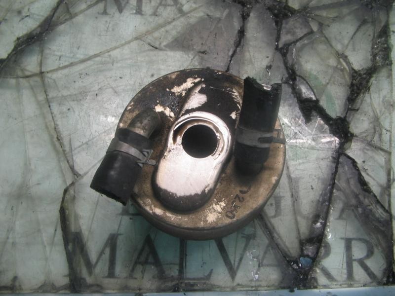 Recambio de enfriador aceite motor para nissan primera berlina (p11) gx referencia OEM IAM   