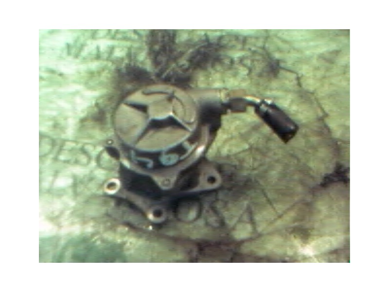 Recambio de depresor freno / bomba vacio para renault 19 (b/c/l53) referencia OEM IAM   