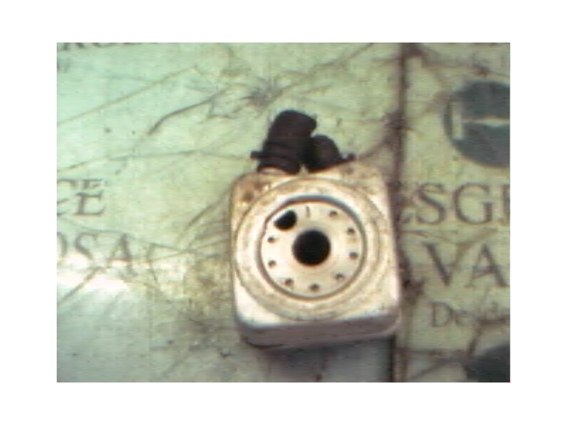 Recambio de enfriador aceite motor para seat ibiza (6k1) sports limited referencia OEM IAM   