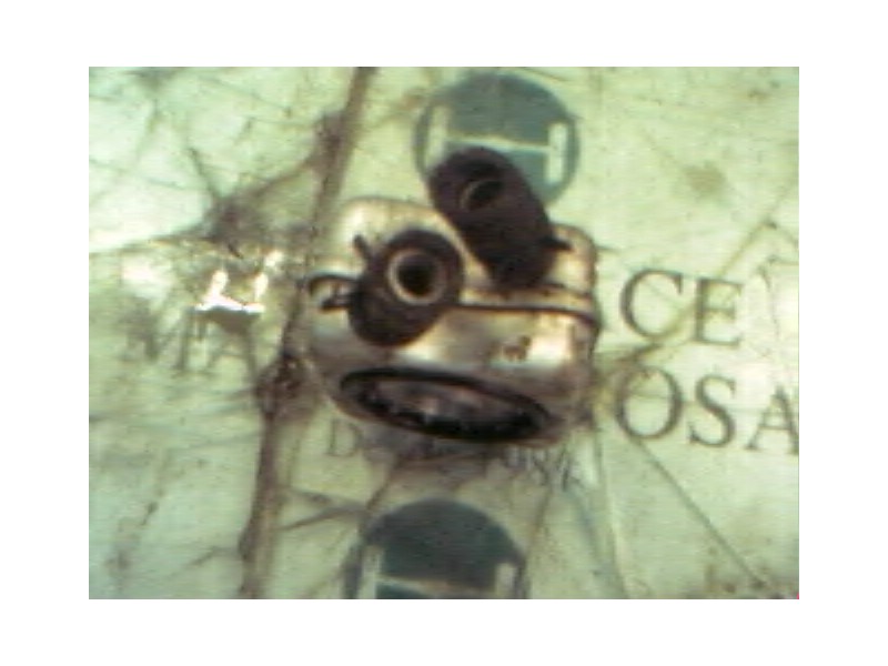 Recambio de enfriador aceite motor para seat ibiza (6k1) sports limited referencia OEM IAM   