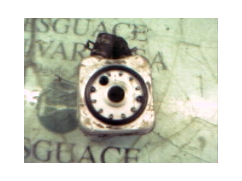 Recambio de enfriador aceite motor para seat ibiza (6k1) sports limited referencia OEM IAM   