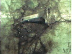 Recambio de soporte motor delantero para bmw serie 3 berlina (e30) 2.4 diesel referencia OEM IAM   